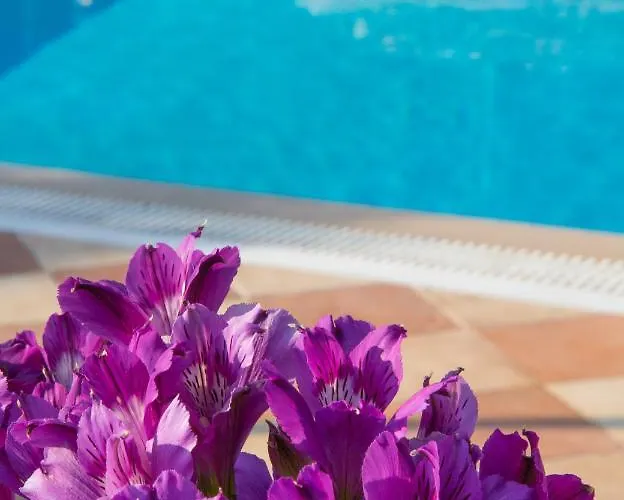 Niki Sunrise Gastouri (Corfu)